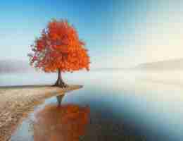 一﻿键​搜‍索‍流​量​