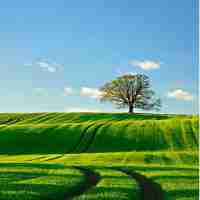 高‍级‌算‌法﻿分﻿析‍工‌具﻿